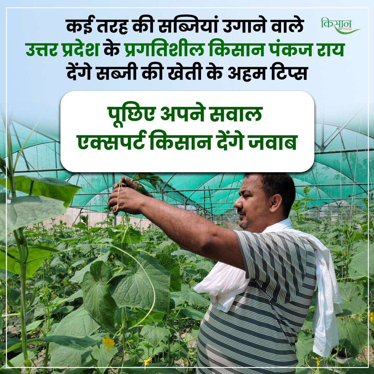 KisanofIndia's tweet image. आपका सब्जियों की खेती से संबंधित कोई भी सवाल हो तो कमेंट बॉक्स में हमको लिख भेजें। आप लोगों के द्वारा भेजे गए प्रश्नों के जवाब हमारे विशेष कार्यक्रम #KisanChatroom में दिए जाएंगे।
#VegetableFarming #ProgressiveFarming #UttarPradesh #PankajRai #KisanOfIndia