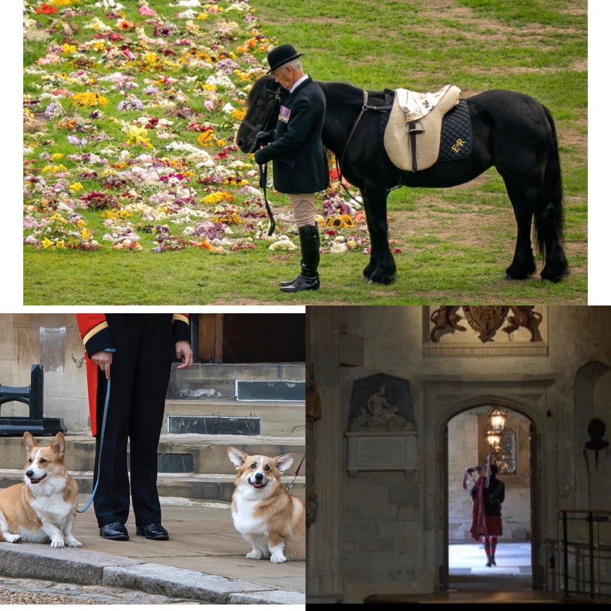 Alison Young ® tweet media