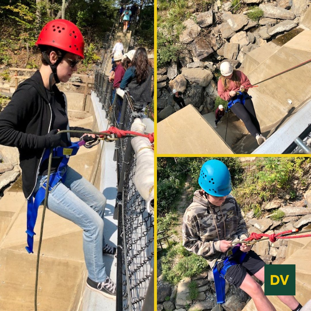 DVFSchool tweet media