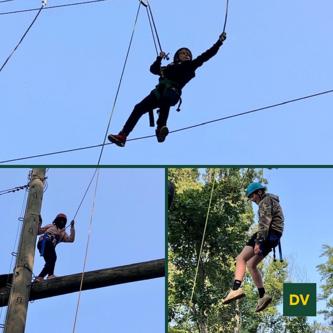 DVFSchool tweet media