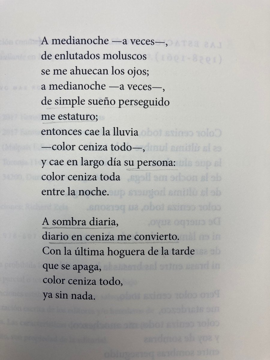 PCevallosOvalle's tweet photo. Max Rojas https://t.co/qbxiip6yUj