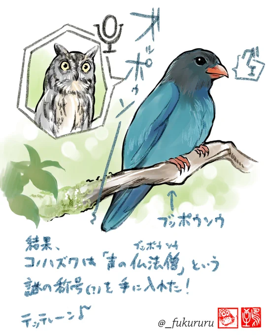日本のフクロウ小話① コノハズク仏教の霊山でよく聞かれ、「仏法僧」と聞きなされたコノハズクのさえずり。その声の主とは気づかれず、別のいい感じの姿をした鳥が「ブッポウソウ」と名付けられる。当時から「それその鳥ちゃう、コノハズクや!」の声があったものスルー。実に1000年間勘違いされる 