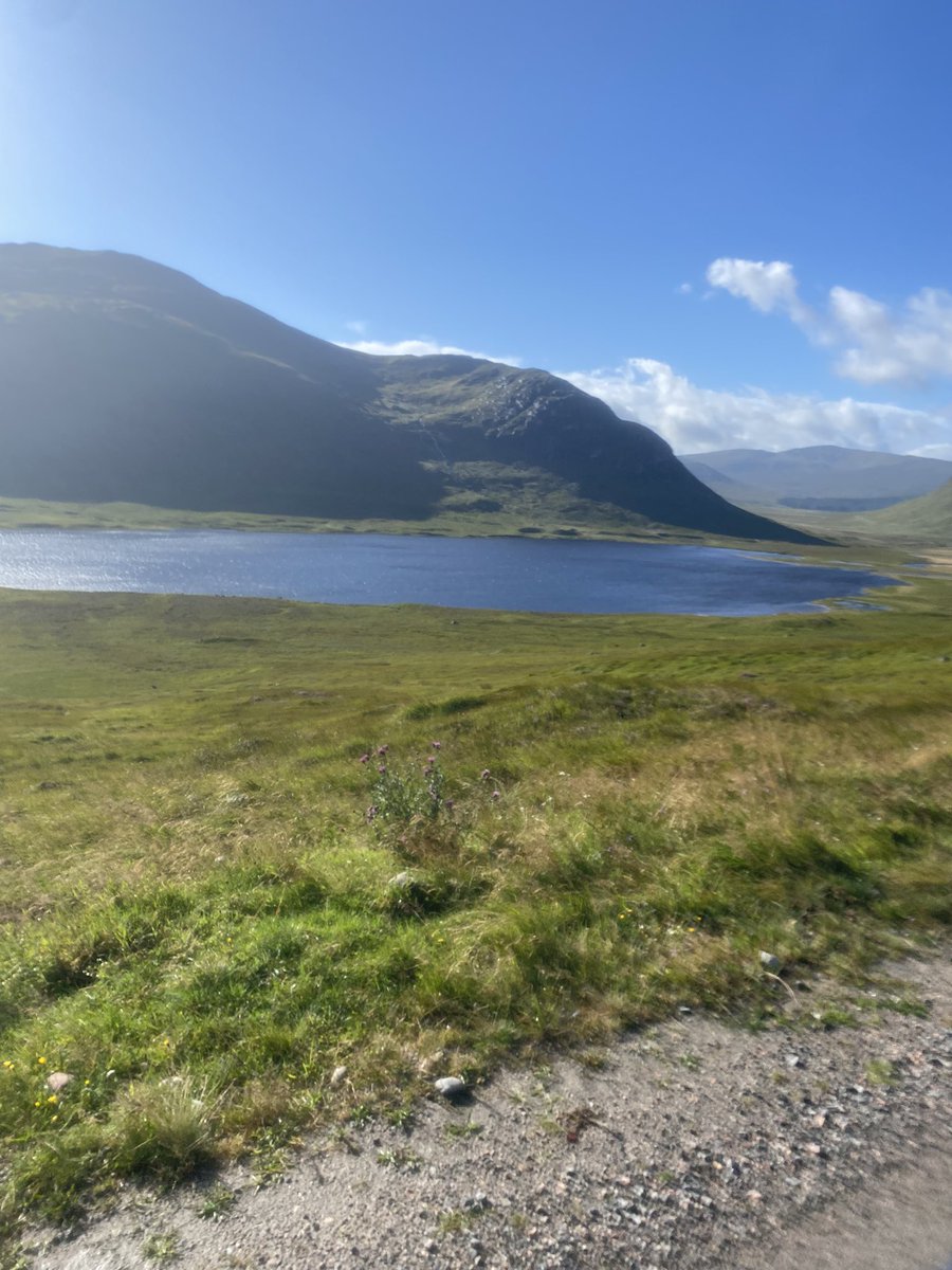 Bryn Davies tweet media