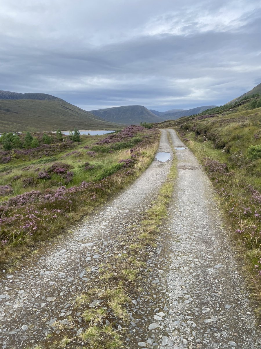 Bryn Davies tweet media