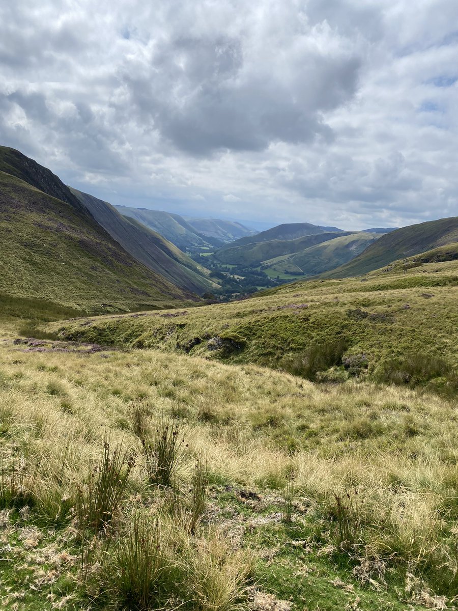 Bryn Davies tweet media