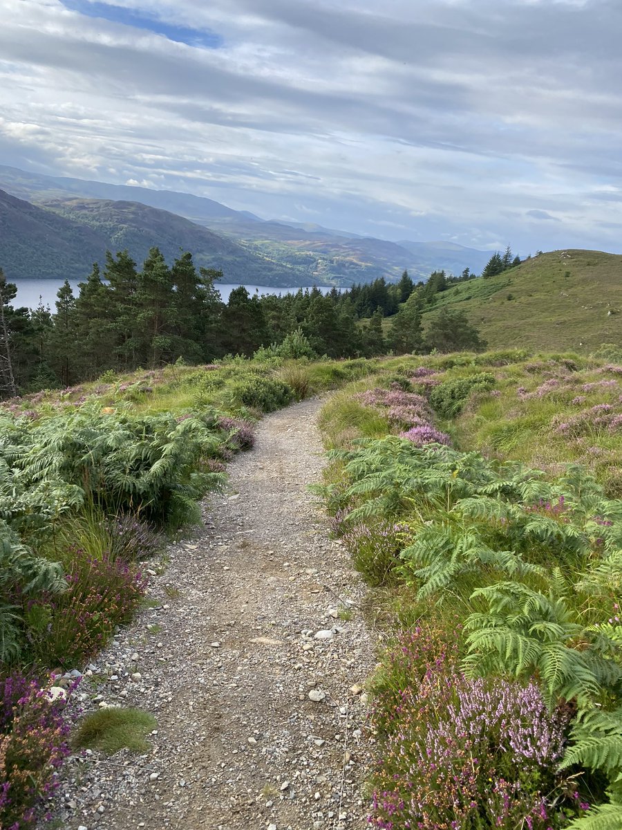 Bryn Davies tweet media