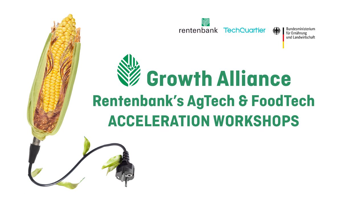 Die Anmeldefrist für die Growth Alliance Acceleration Workshops endet am 26.09.! Jetzt schnell bewerben, wenn Ihr: 💸 eine #Finanzierungsrunde anstrebt 🌾 in der #Agrar-, #Lebensmittel- oder #Bioökonomie-Branche seid 🤝 validierte Produkte, erste Kunden & Umsätze vorweist