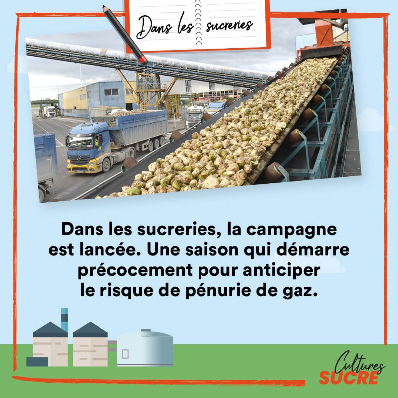 Cultures_sucre's tweet photo. @Cultures_sucre vous emmène tous les mois sur le terrain de la filière betterave-sucre, pour faire le point sur les activités dans les champs et les sucreries.
👉 Alors que la #CampagneSucrière a d'ores et déjà commencé, retrouvez notre carnet de bord de #septembre 👇