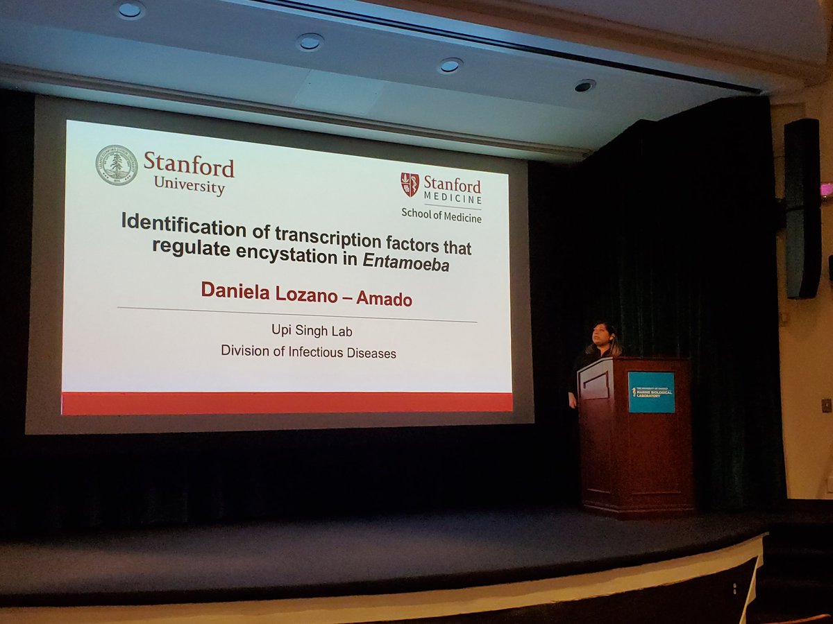 PiParasitology's tweet photo. Good morning #mpm2022 Dr. Daniela Lozano-Amado is taking the stage of Session VA: Metamorphosis sharing her work on transcription factors regulating Entamoeba encystation. https://t.co/RPH1PAIbQe