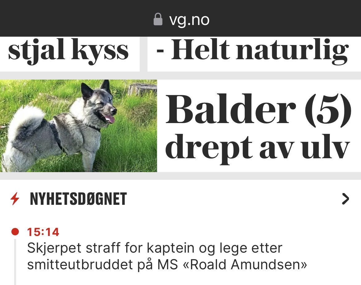 Lykke til med å forklare hvorfor hundens alder er viktig i denne overskriften….
