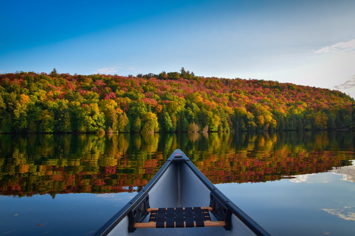 Ways to experience fall in Sault Ste. Marie. 

5. Go Guided... with the True North Adventure Bus and have experts show you the best spots... saulttourism.com/travelogues/tr…

...or the 'Friends of Fall Colours' Tour

#DiscoverON #saultstemarie #fallcolours
