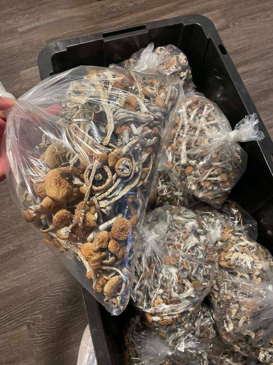 EmmaEdibles's tweet photo. Join our telegram group if you looking to trip or a trip sitter.. https://t.co/1LXRqcpVA9

$500 a p each. https://t.co/PfbRwU5FpD