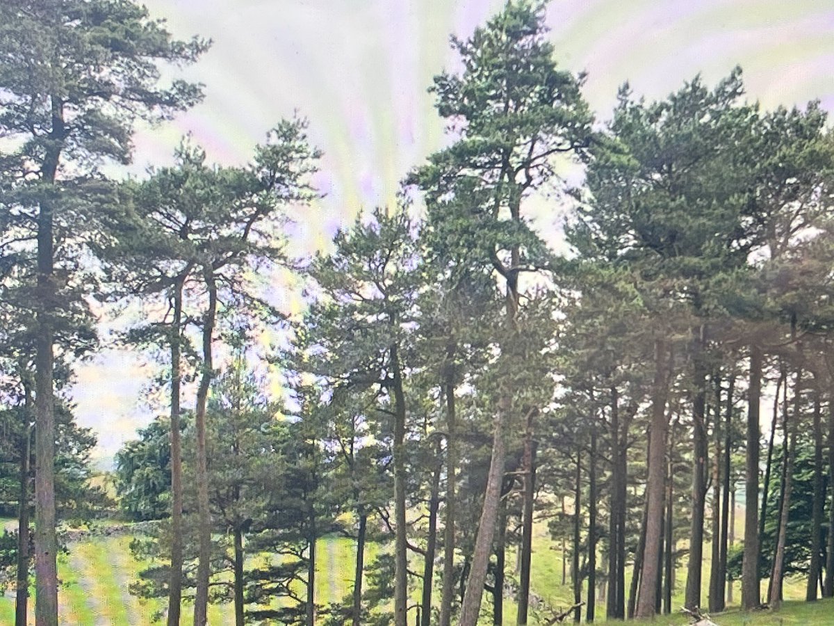 checkmate.uk.com tweet media