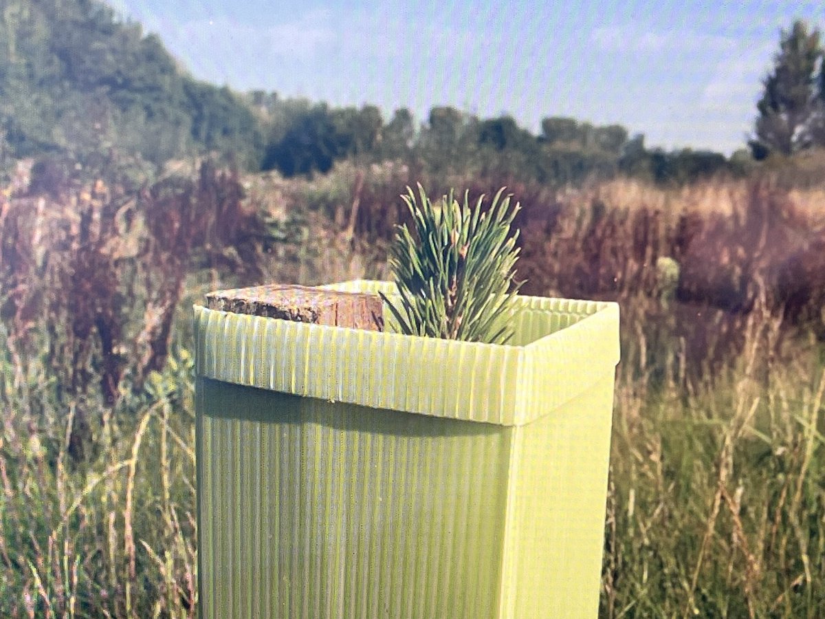 checkmate.uk.com tweet media