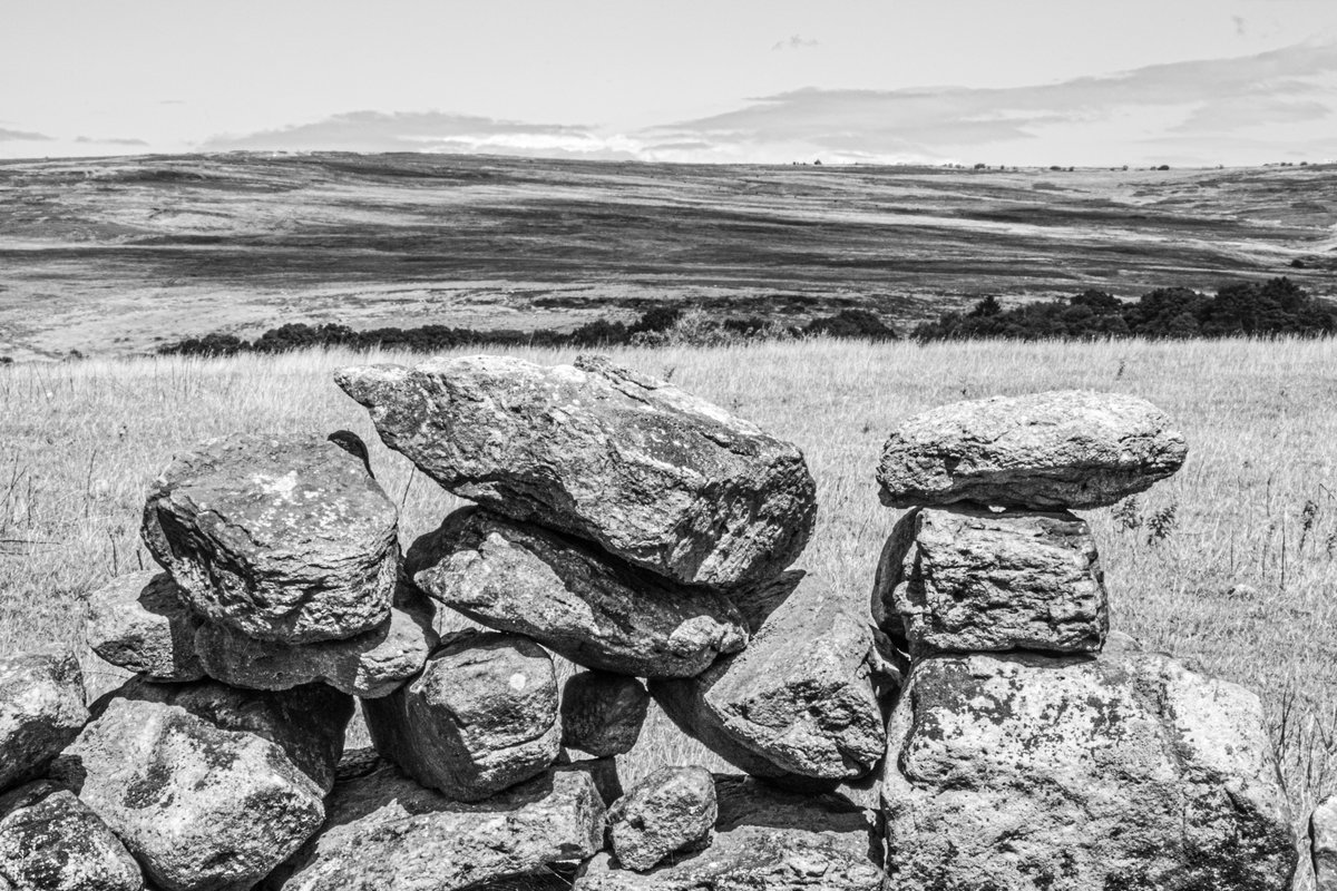 andyradka's tweet photo. Goathland - in North Yorkshire #yorkshireinblackandwhite #Yorkshire #blackandwhitephotos #blackandwhitephotography #BWPMag #BlackMinimalism #NorthYorkMoors #ForestryEngland #NorthYorkshire #LightintheForest #ForForests #Pentax #EyeHope #Goathland https://t.co/cH2bplcZOD