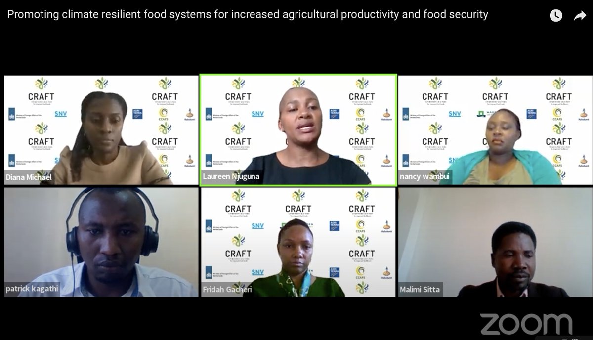 Use of #ChiselPlough and #PotatoPlanter minimizes soil disturbance in potato farming 🥔- Laureen Njuguna, Starlight Cooperative Society.

Join us live at the #COPResilienceHub: youtube.com/watch?v=wsNlPS…