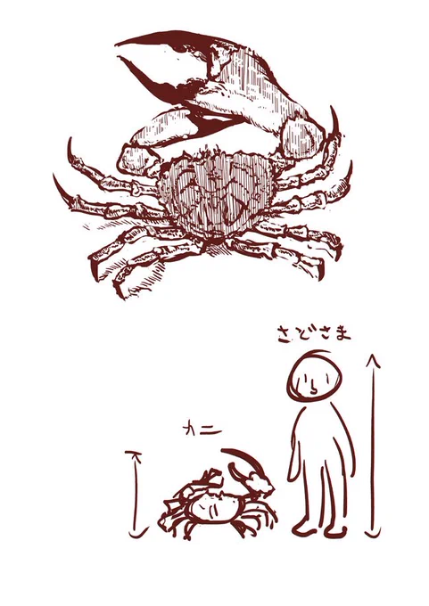 さどさまとタスマニアキングクラブの比較図です
参考にどうぞ 