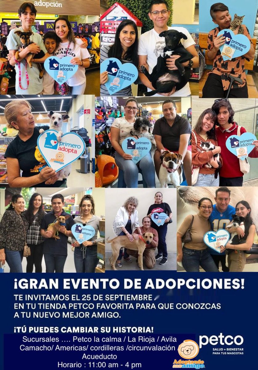 Adoptando un amigo tweet media