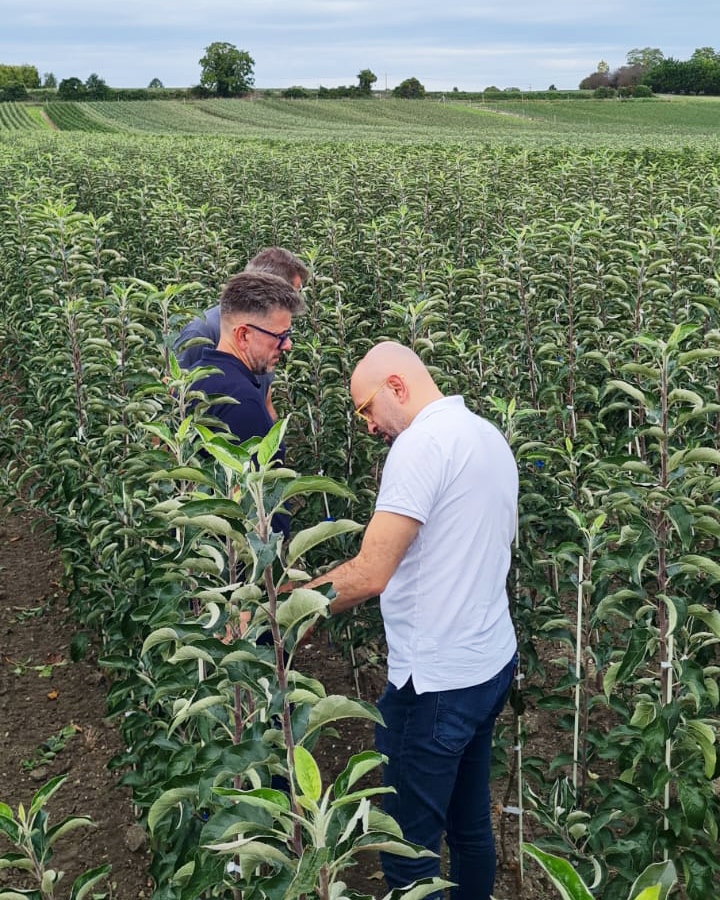 StollerEurope's tweet photo. 🌿🍅 Last week our team has been visiting some crops in France where they have used the #StollerSolutions in their crops. It’s been a very nice experience and company!
#BioForge #StimulantePlus #FrenchCrops #Récoltes #ValléDeLaLoire https://t.co/qhKcn99hJw