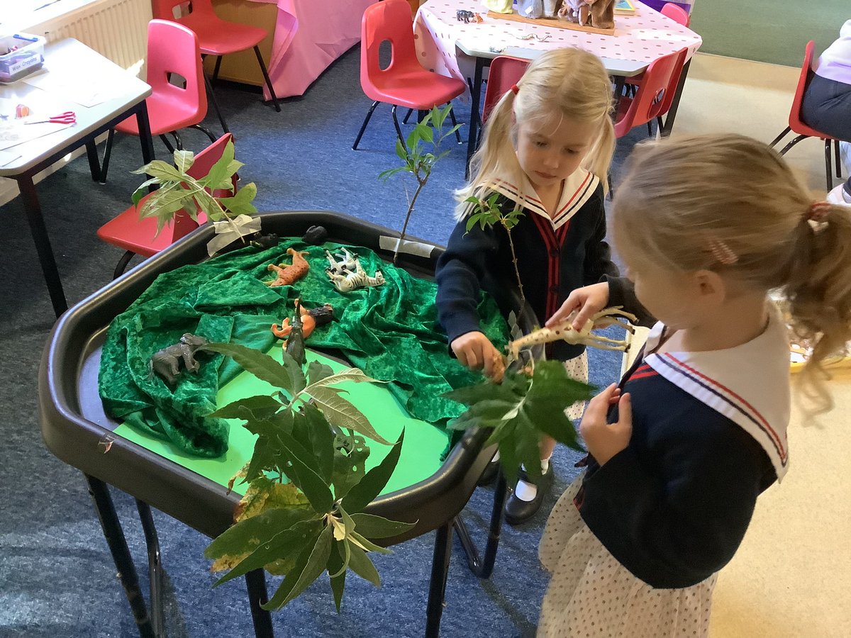 TH Kindergarten tweet media