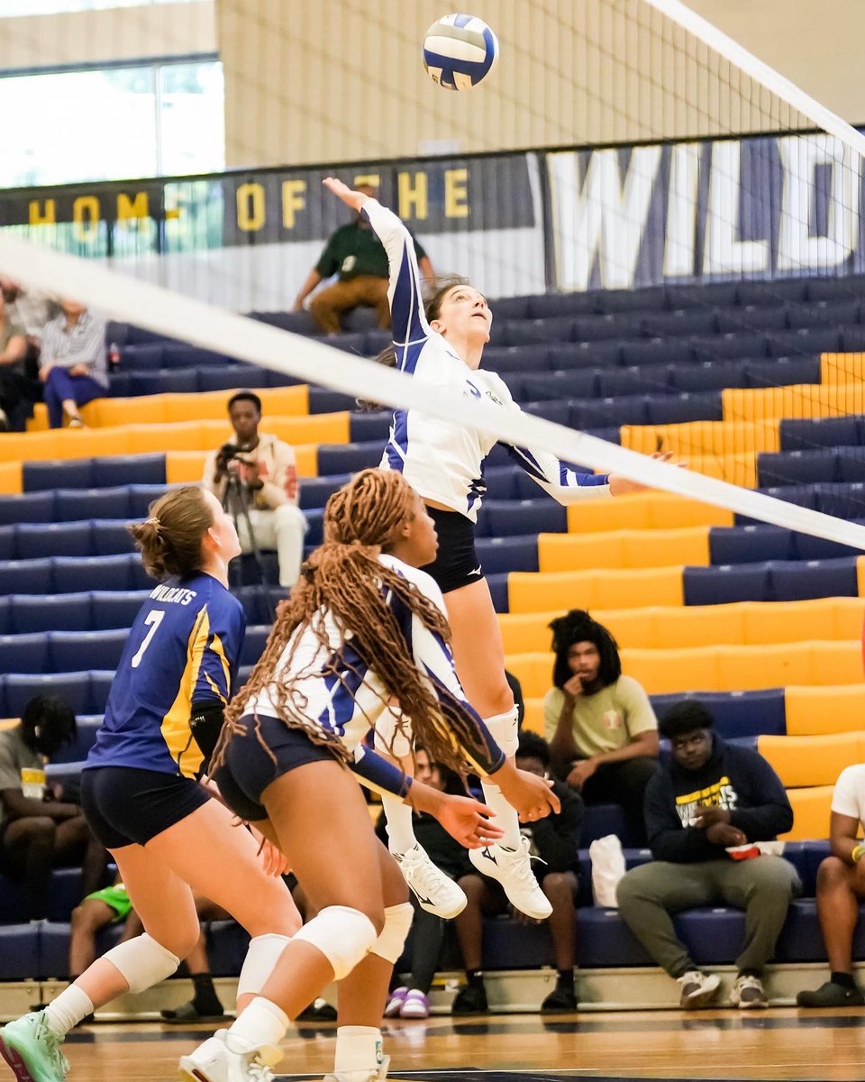 Wheeler Volleyball tweet media