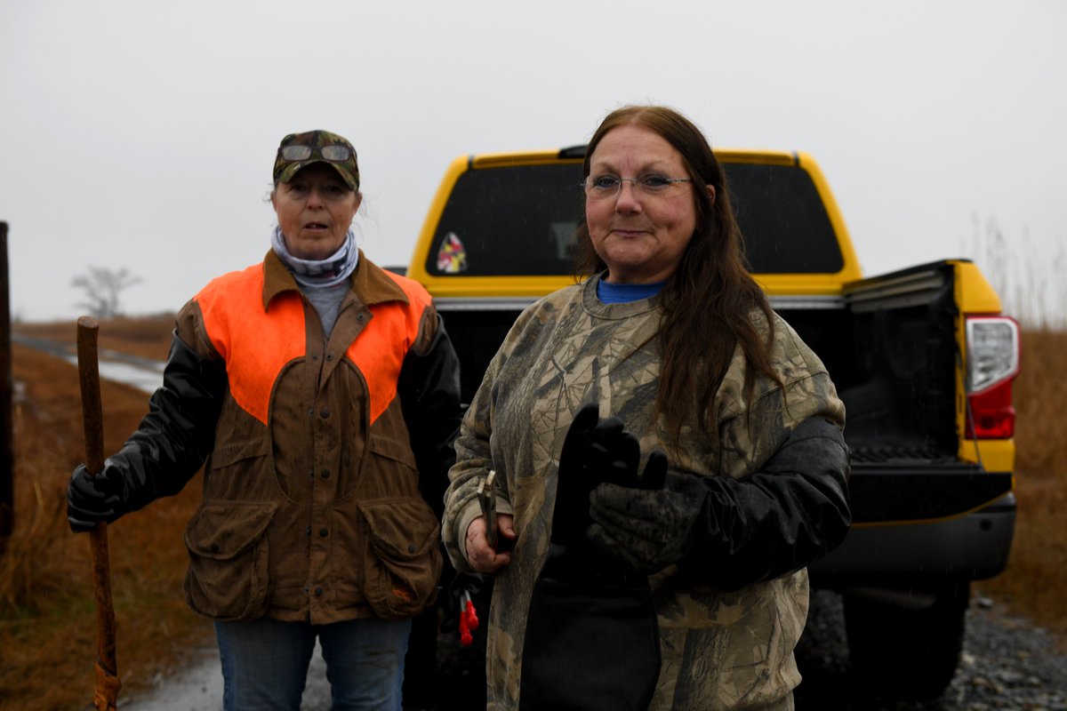 kpowers01's tweet photo. Muskrats, eagles, marsh: Chief Donna Abbott watches climate change threaten her Nause-Waiwash culture. Their ancestral lands, nestled against the Chesapeake Bay — are sinking.
For her, fleeting connections to tradition could disappear.
A special one: https://t.co/sF7RttVtez https://t.co/uNWnCErBXe