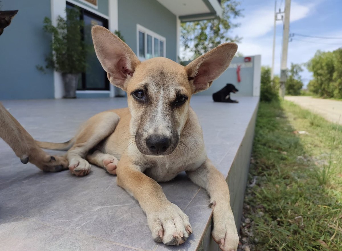 Niall Harbison tweet media