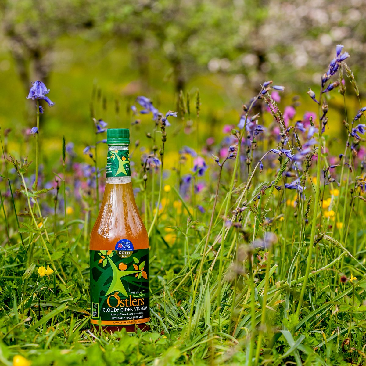 Did you know that there are so many health benefits to ACV? It can give your immune system a real boost which is especially good at this time of year as we enter cold &amp; flu season! 

Order @ ostlerscidervinegar.com