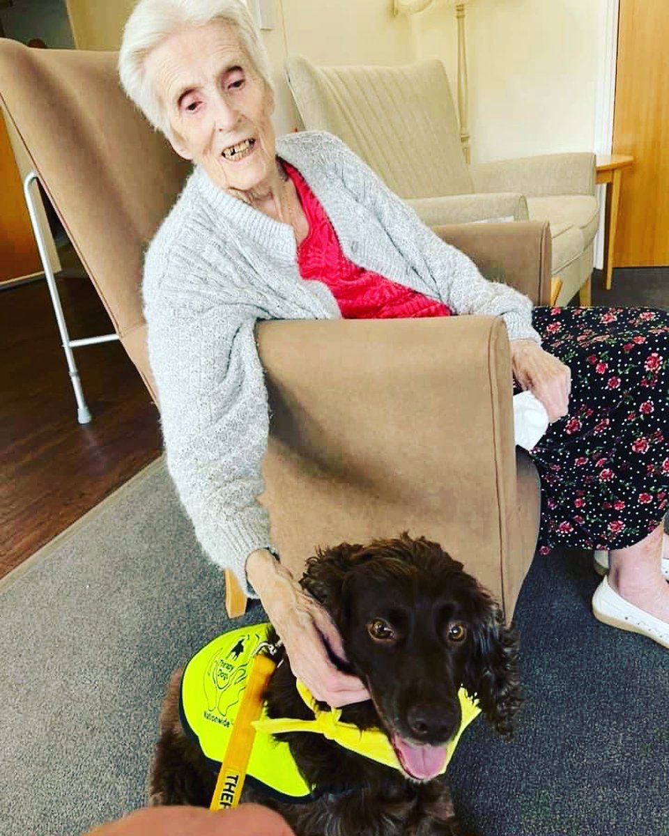 TherapyDogsUK's tweet photo. Go Bo Bear 💛🖤💛
You are a little superstar, I am sure Widnes Hall thoroughly enjoyed their visit! 💛
#workingcockerspaniel #cockerspaniel #cockerspanielsofinstagram #cockersofinsta #cockerspanielworld #therapist #therapydogsnationwide #therapydogs #therapydogsrock https://t.co/Fokv1uL0Mj