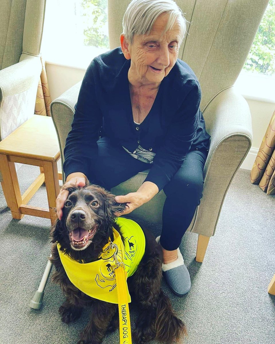 TherapyDogsUK's tweet photo. Go Bo Bear 💛🖤💛
You are a little superstar, I am sure Widnes Hall thoroughly enjoyed their visit! 💛
#workingcockerspaniel #cockerspaniel #cockerspanielsofinstagram #cockersofinsta #cockerspanielworld #therapist #therapydogsnationwide #therapydogs #therapydogsrock https://t.co/Fokv1uL0Mj