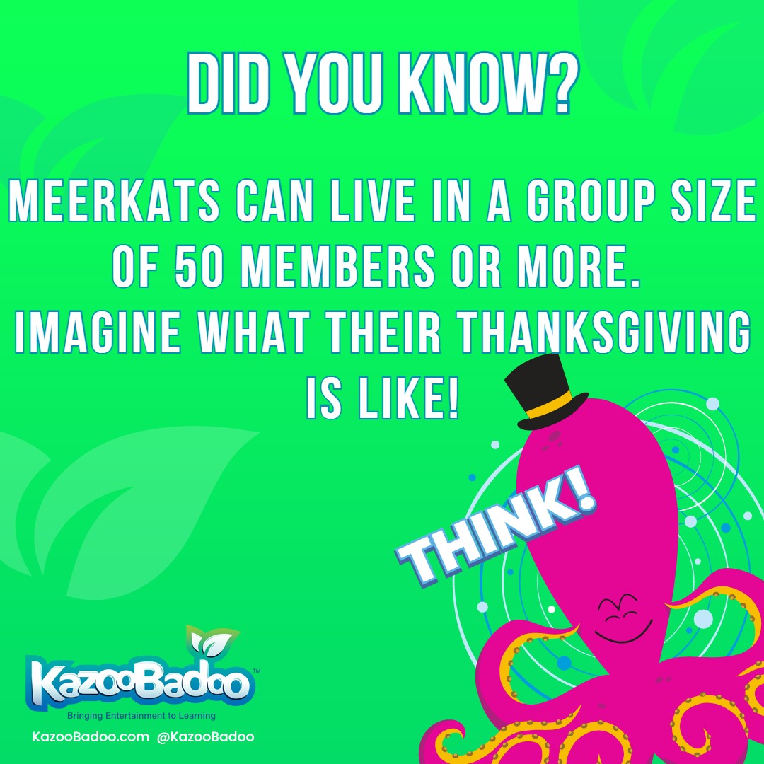 KazooBadoo's tweet photo. Visit https://t.co/JHGrIu1KfM for more on the cuteness of Meerkats! And while you're at it, check out our app! Download the app for FREE from the Apple Store or Google Play.
#kidsgame #learningisfun #education #educationgame #KazooBadoo #meerkatfacts https://t.co/FvkxcIwsLm
