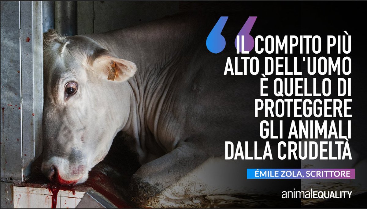 AE_Italia's tweet photo. Abbiamo deciso di fare nostre le parole di Émile Zola e per questo ogni giorno lavoriamo instancabilmente per proteggere gli animali dalla crudeltà dell’industria alimentare.

Ritwitta questo tweet se sei al nostro fianco in questa battaglia, uniti possiamo cambiare le cose! https://t.co/DV7Nrzjtve