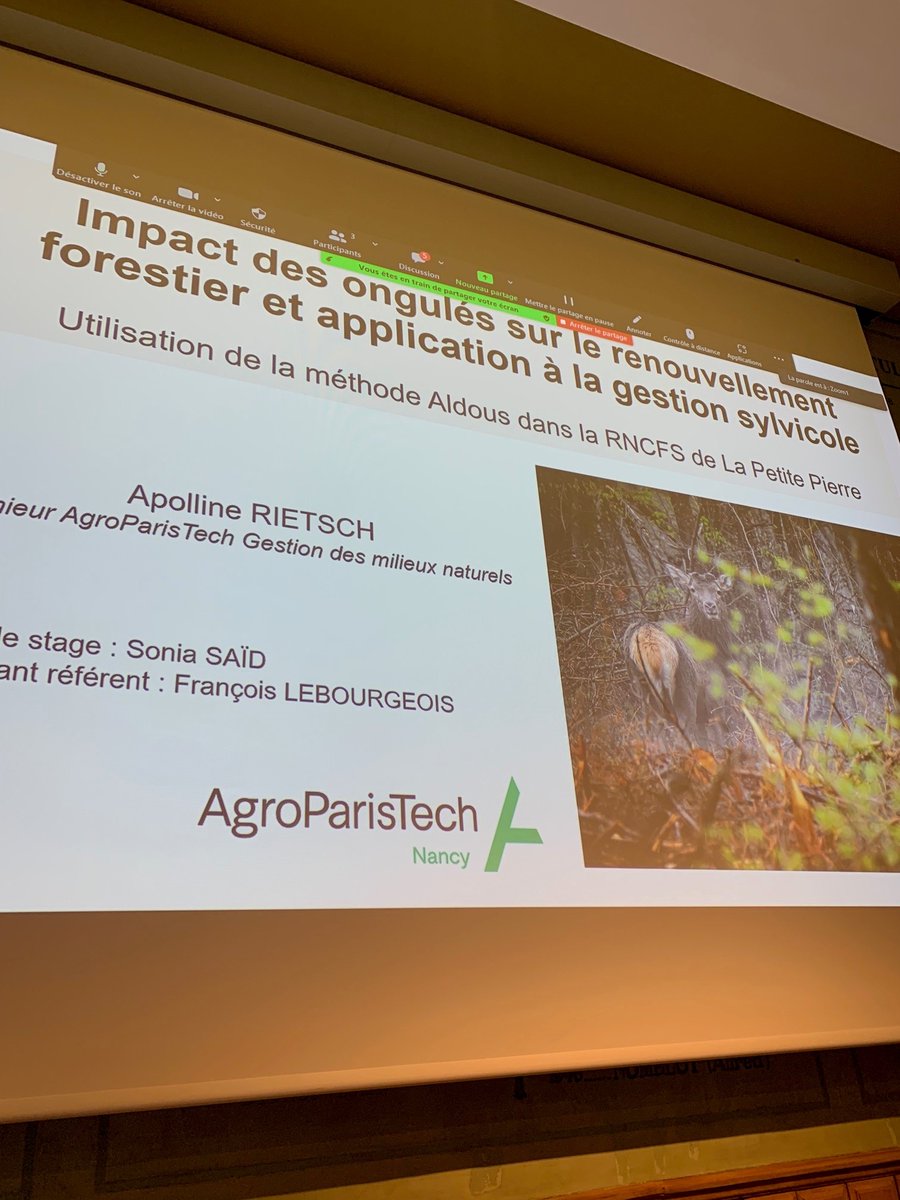 Audition d'Apolline RIETSCH <a href="/AgroParisTech/">AgroParisTech</a>, Prix des mémoires de fin d'études Xavier Bernard 2022, qui a travaillé sur l'impact des #ongulés sur le renouvellement #forestier