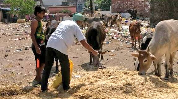 Our ongoing feeding drive needs your urgent support. We will run out of our animal food supplies soon.

A small donation from you help us restock and save them from starving.

Donate - esf.ngo/donate
UPI: samvarta@sbi
(All donations eligible for tax exemption under 80G)