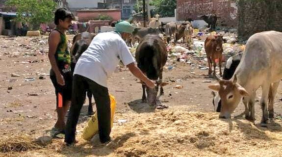 Our ongoing feeding drive needs your urgent support. We will run out of our animal food supplies soon. A small donation from you help us restock and save them from starving. Donate - esf.ngo/donate UPI: samvarta@sbi (All donations eligible for tax exemption under 80G)