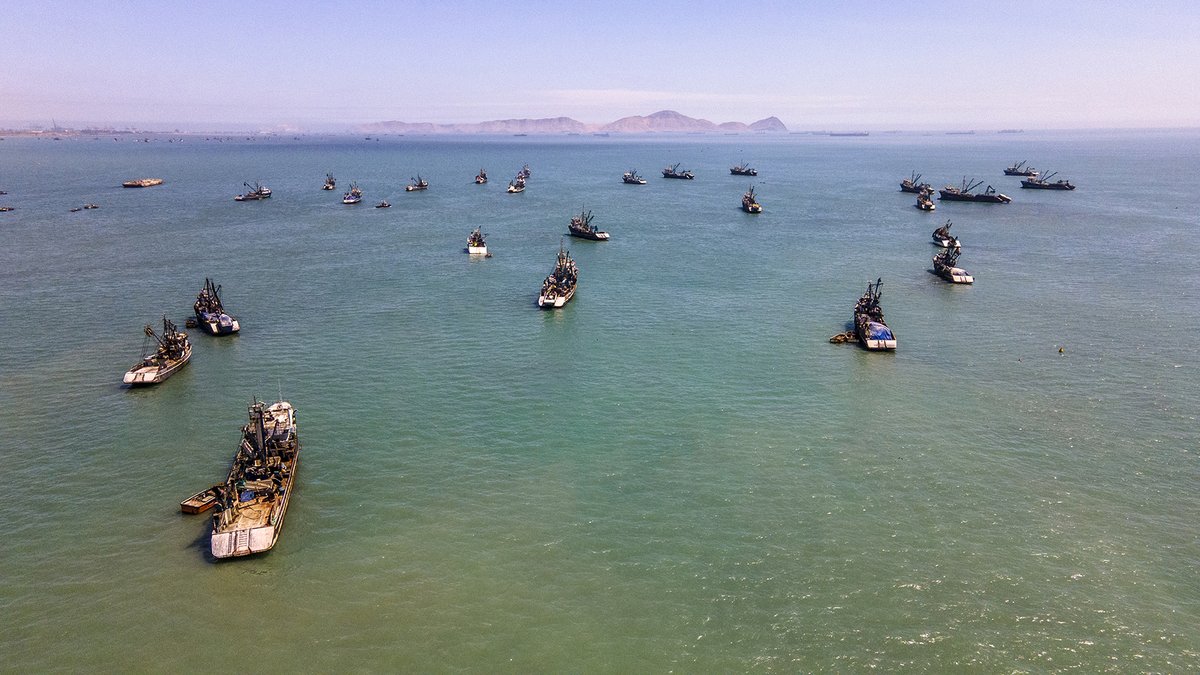 GlobalFishWatch's tweet photo. Transparency is crucial for good stewardship of our global ocean. It is needed to:
π£ fight illegal fishing
π protect fish stocks and livelihoods
π increase the safety and well-being of fishers
Learn more about #TransparencyInFocus in Peru π https://t.co/9edqrUoT1i https://t.co/NEEh1EP55C