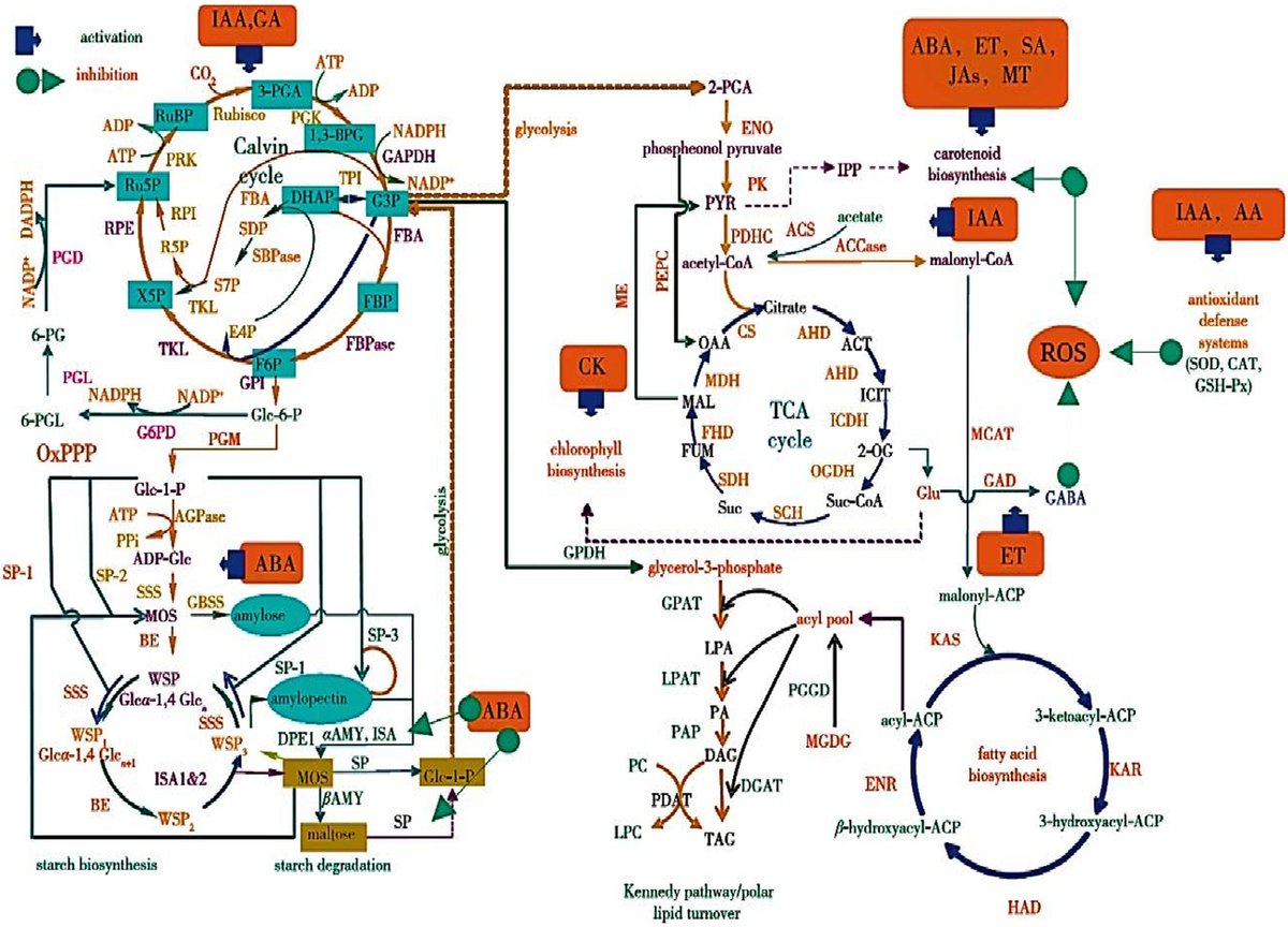 Wiley Ecology, Environment, and Sustainability​​ tweet media