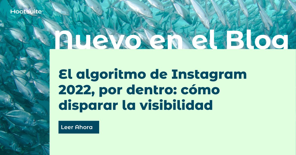 El algoritmo de Instagram afecta a todos. Conoce los factores de clasificación y descubre cómo hacer que tu contenido sea visto 😉 👇
ow.ly/im4450KCeQW