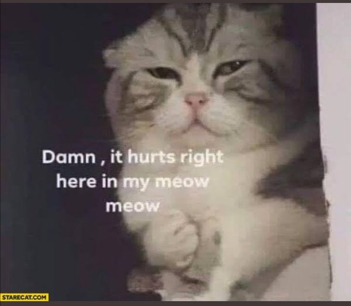 cbdiarys's tweet photo. @musebbh You're wrong https://t.co/EAu0WFtgY7