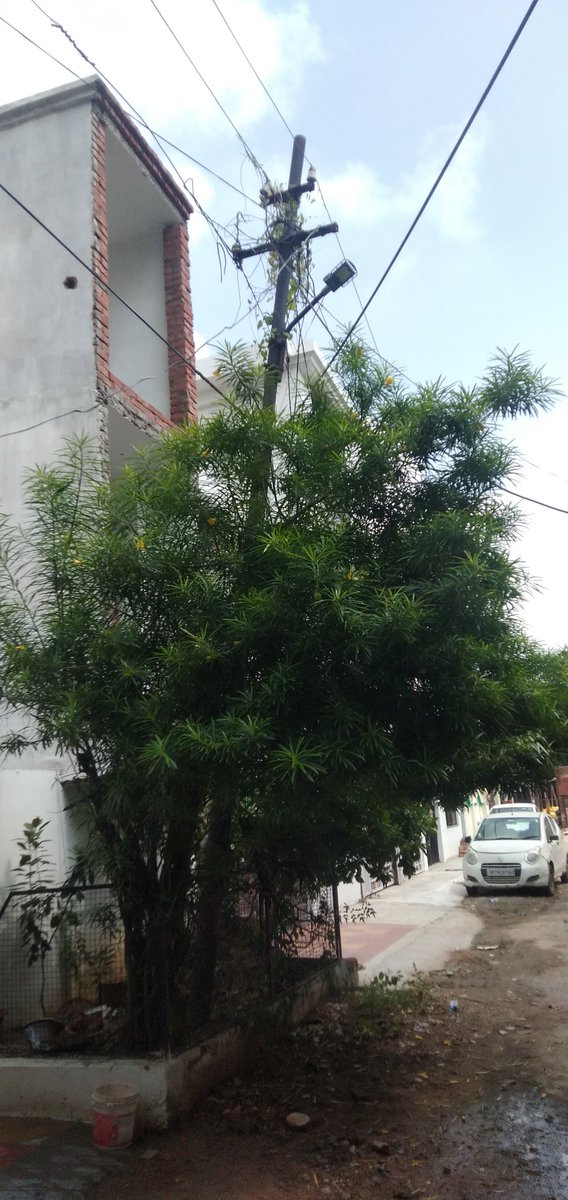 abhinavshanu1's tweet photo. @KESCoHQ 
@UppclChairman 
@UPPCLLKO 
Sir my name is  abhinav Chaudhary &amp; mobile number 7985989098..address M-8/5 KDA Colony ganga vihar jajmau kanpur 208010 hai...kafi months se ye pole aise hi hai...iska abhi tak koi solutions nahi hua hai.please resolve my problem. https://t.co/VJQSLwcs65