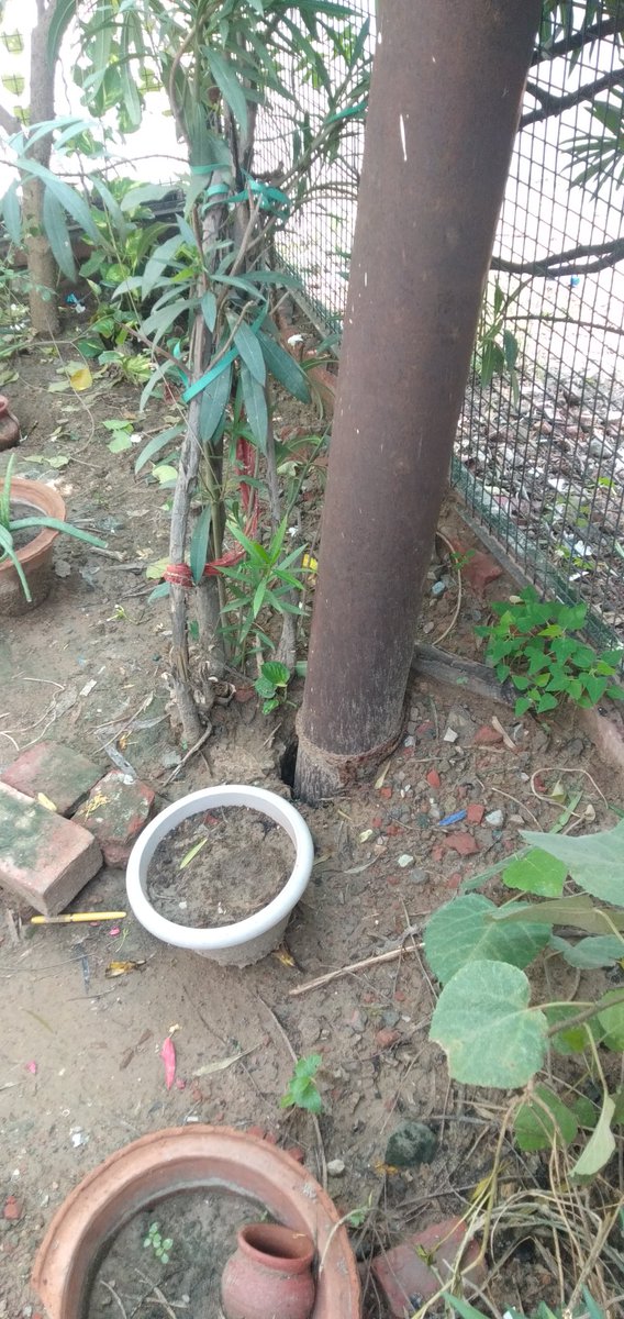abhinavshanu1's tweet photo. @KESCoHQ 
@UppclChairman 
@UPPCLLKO 
Sir my name is  abhinav Chaudhary &amp; mobile number 7985989098..address M-8/5 KDA Colony ganga vihar jajmau kanpur 208010 hai...kafi months se ye pole aise hi hai...iska abhi tak koi solutions nahi hua hai.please resolve my problem. https://t.co/VJQSLwcs65