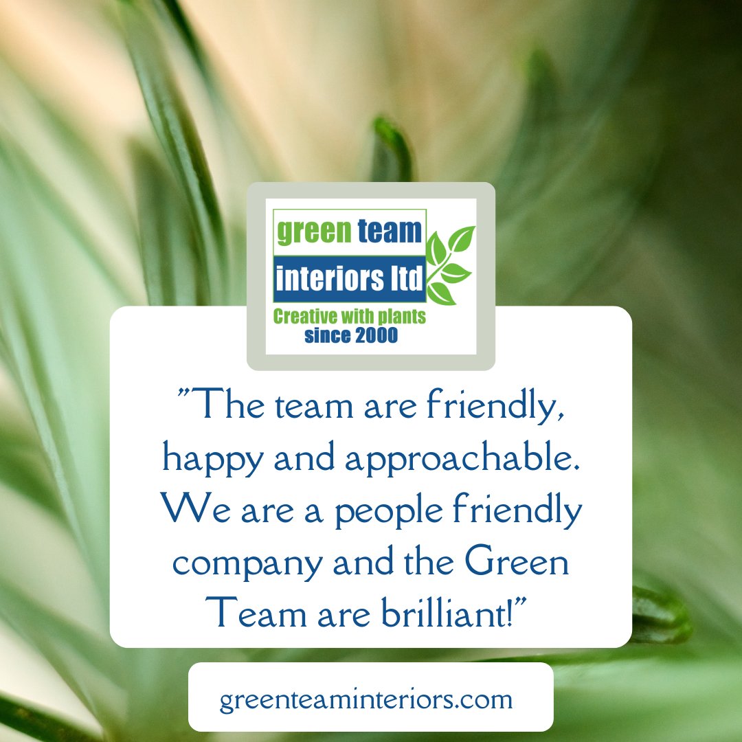 Plant_HQ's tweet photo. This week is International Week of Happiness At Work - here’s a bit of feedback we received from a client (this makes us happy!)
#greenteaminteriors #interiorlandscaping #happyoffice #plantsatwork #rentalplants https://t.co/QekpkzBsU9