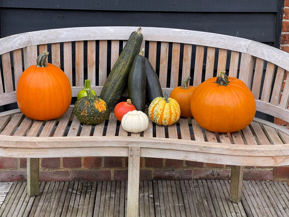 Frederick Hiam Ltd tweet media