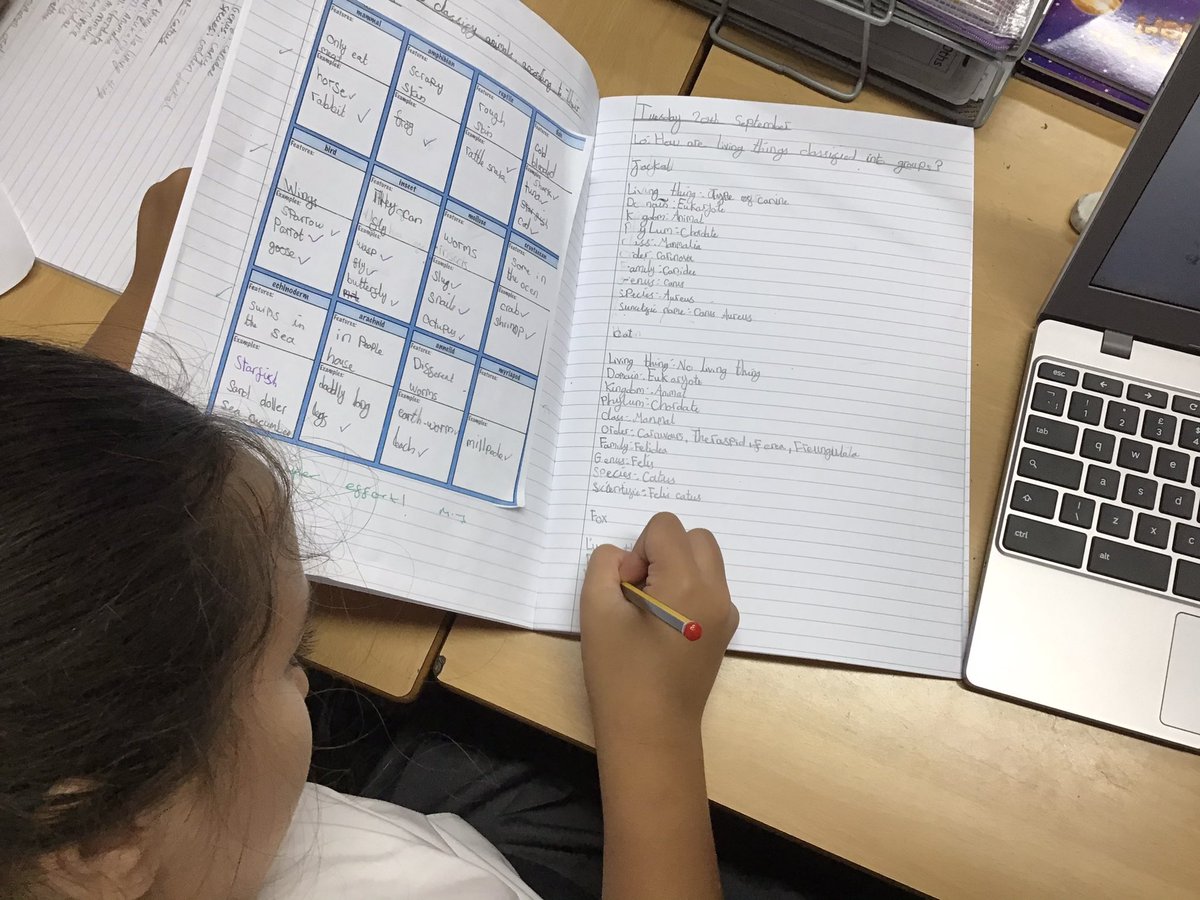 alstonprimaryb9's tweet photo. Year 6 are using the Linnaean System to learn how living things are classified into groups. #Science #ClassifyingOrganisms #RRSA #Article28 https://t.co/mE0jD1D1nq
