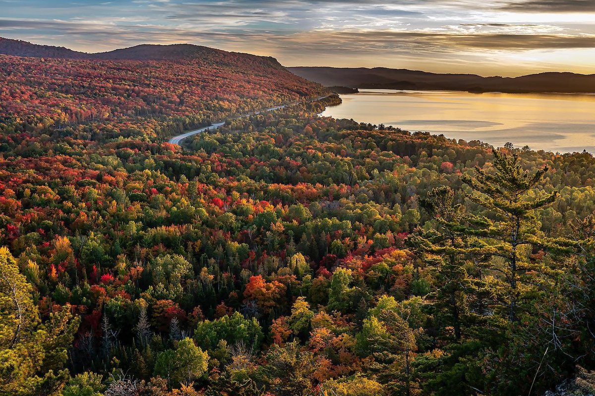 Les couleurs d’automne. Bientôt dans un parc près de chez vous. 🍁

📸 jaykerrphoto via IG
📍 Havilland Bay
#DécouvrezON