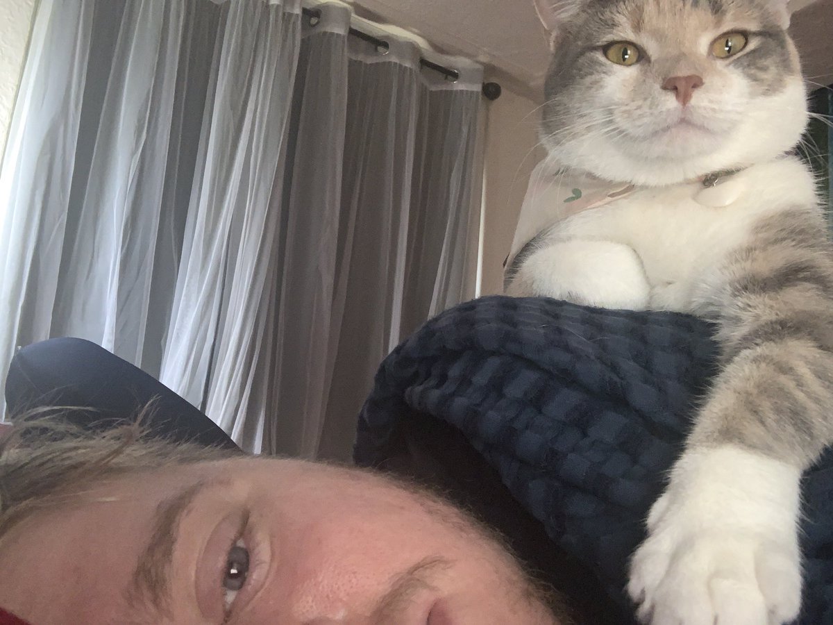 SnarkyBreeze's tweet photo. Not allowed to sleep in I guess https://t.co/ADmZq5z9CI