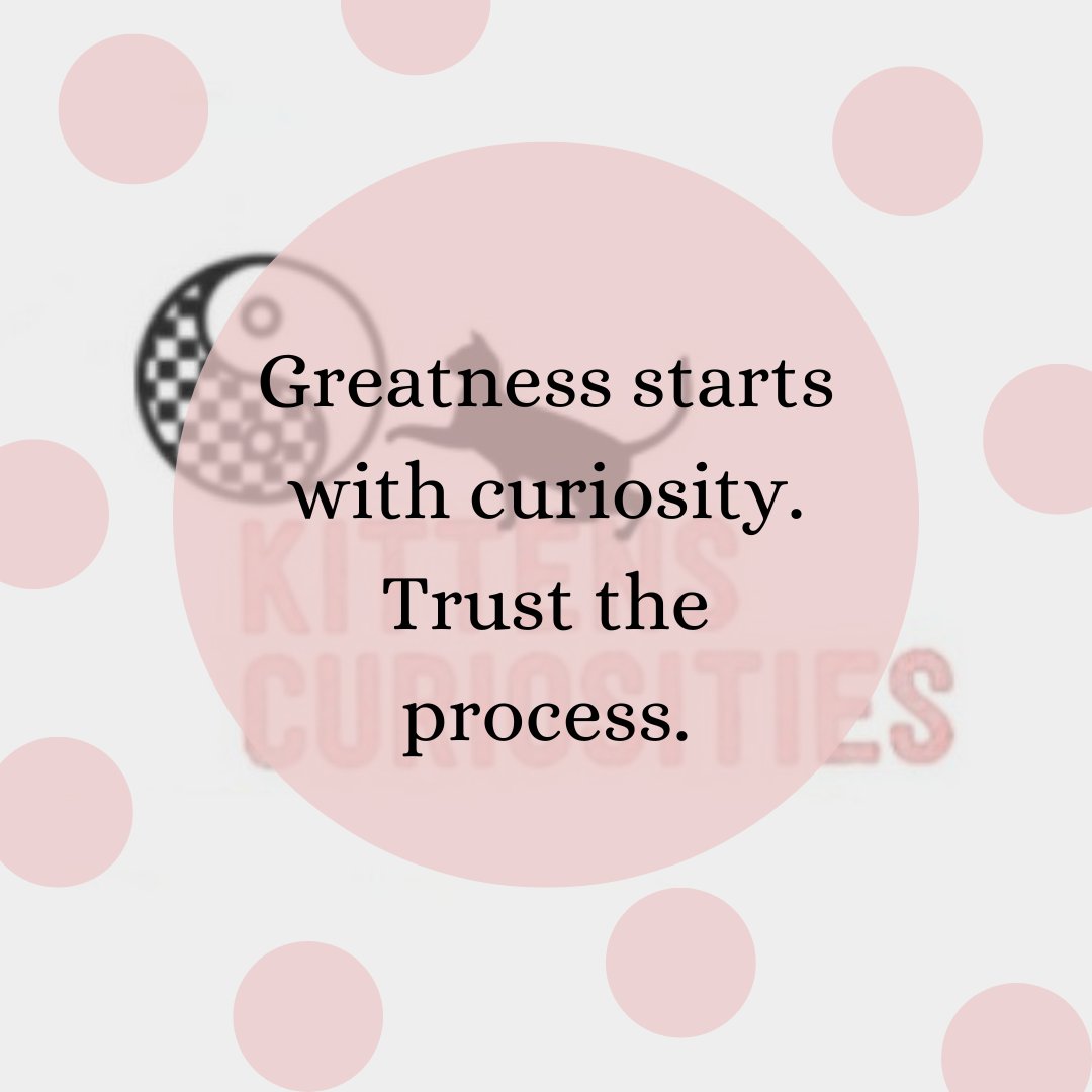 KitCuriosities tweet picture