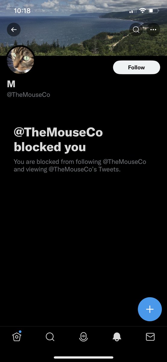 eddiegocrazie's tweet photo. @TheMouseCo @makemequittt @perseusxdd @unrealitymc @justasalmonn @its_menieb @GTAVI_Countdown @RockstarGames loser https://t.co/aFRlYisoBd