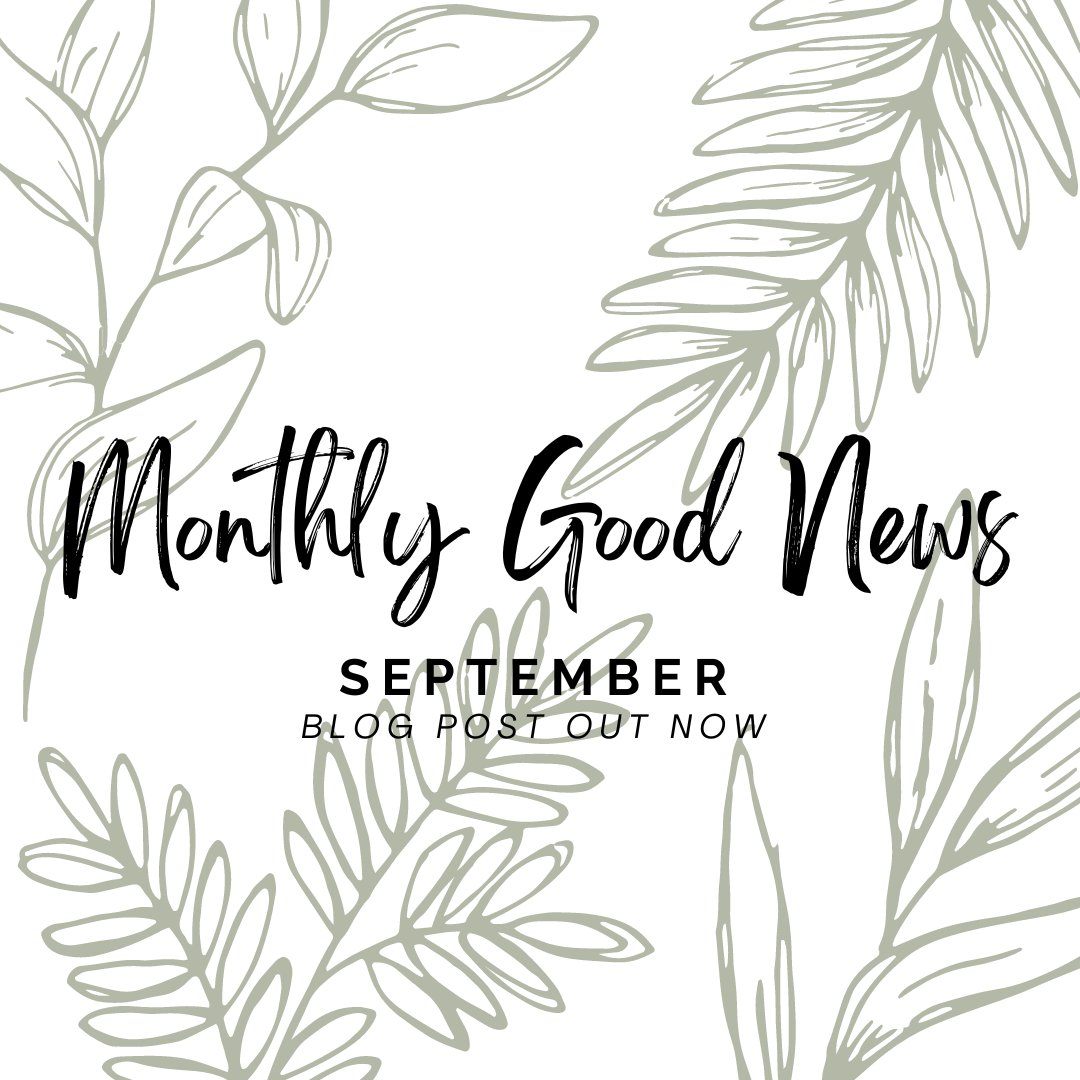 NEW BLOG POST: The first instalment of our Monthly Good News series is now live! A brief reminder of the good things happening in the world and the people trying to make this planet a little brighter

Read it here: blogs.canterbury.ac.uk/sustainability…

#sustainability #climateaction #goodnews