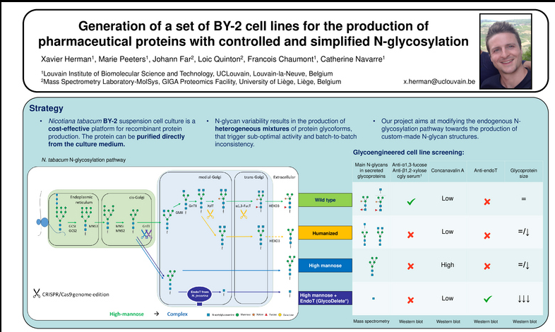 International Society for Plant Molecular Farming (@ispmf) on Twitter photo And here's another wonderful #ispmf2022 poster from Xavier Herman <a href="/LIBSTUCLouvain/">LIBST_UCLouvain</a> @UCLouvain_be about BY-2 cell line with controlled N-glycosylation. Check it out: posterpresentations.com/research/group… And here's another wonderful #ispmf2022 poster from Xavier Herman <a href="/LIBSTUCLouvain/">LIBST_UCLouvain</a> @UCLouvain_be about BY-2 cell line with controlled N-glycosylation. Check it out: posterpresentations.com/research/group…